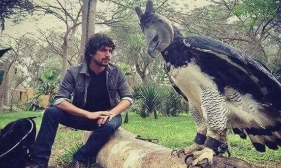 |世界上最像人的鸟,不仅脸型很像,就连身高也差不多