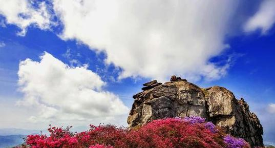 【大别山】国内有个景区，门票价格不贵，可以买一张票连续玩好几天