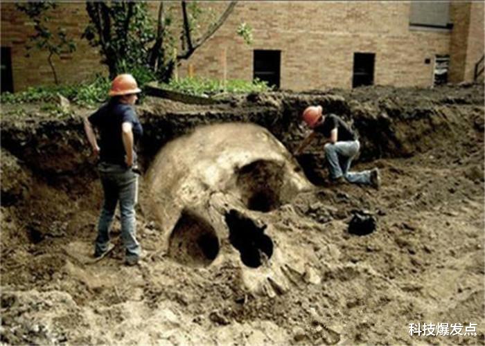 遗骸■地球上曾出现过巨人族?4000年前的遗骸,身高有2.8米!