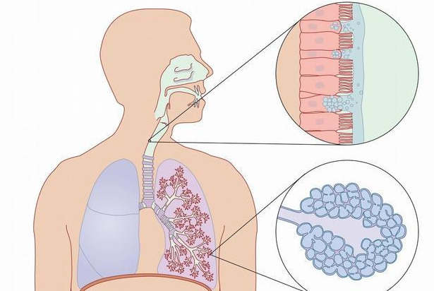 『糖尿病』食道癌是怎么引起的？医生：这4大原因，都明白了才好防患于未然