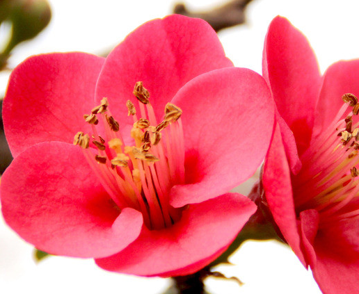 运势|未来15天，4属相运势逆袭，工作顺利，财源滚滚，家庭幸福美满