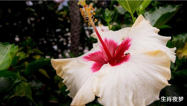 「属蛇」5月，旧情人回头，诉说真心，3生肖重拾往日旧爱，一往情深爱到老