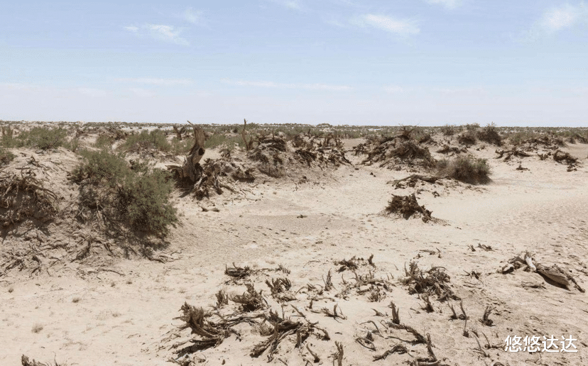 百度网盘|马云耗时四年打造的蚂蚁森林，到底有多么成功，卫星图曝光真相