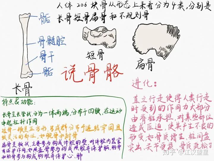 软件|有哪些学生党必备的 APP ？