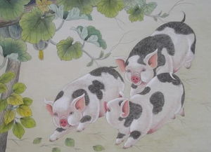 生肖|大金猪，真是火到上天，四喜临门，八方报喜! 秒变大金猪