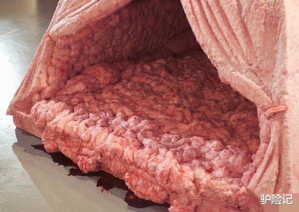 旅行@全球最“可怕”的酒店，睡一晚就给7万美元，至今无人能成功