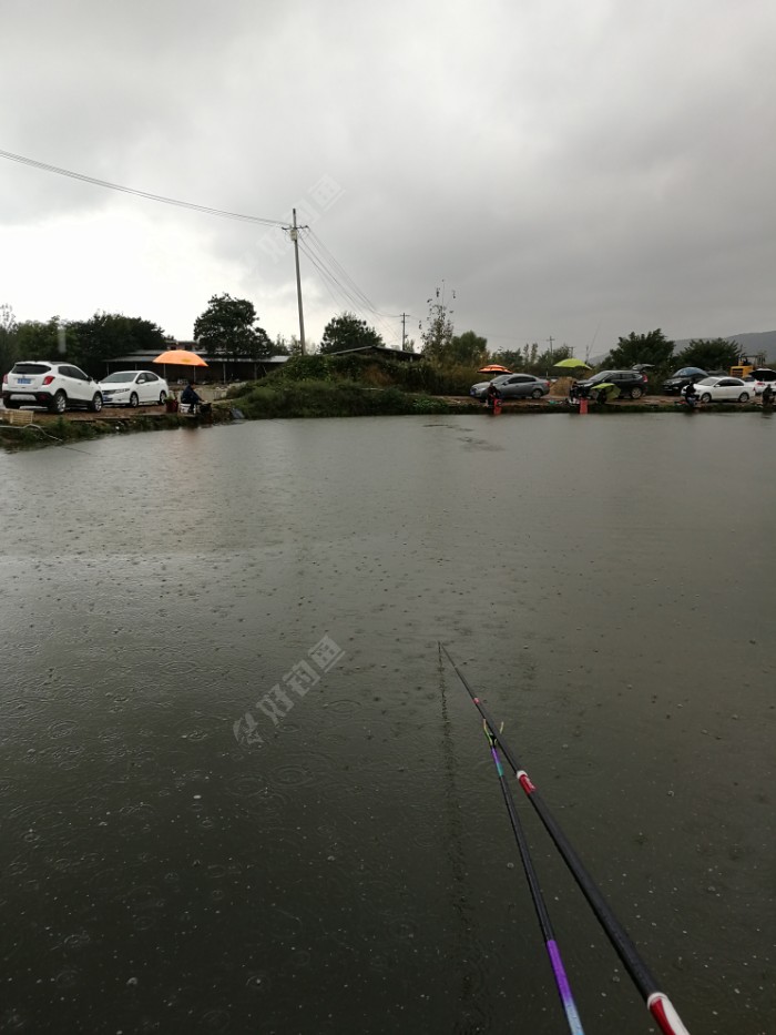 |国庆第一钓，冒雨作钓亮亮鱼池，未能上岸