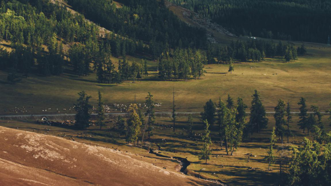 新疆维吾尔自治区:今年,一定要去一次新疆!