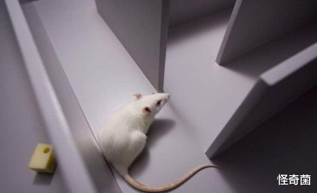 【科学家】35亿光年“宇宙墙”被发现，谁将人类囚禁在这片空间？