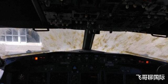 「蝗虫灾害」土耳其遭遇肉食蝗灾,只吃肉,不吃农作物?科学家看法有所不同