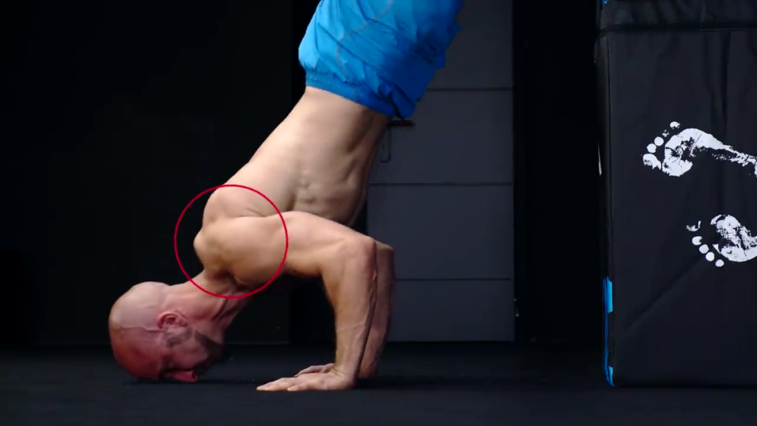 俯卧撑|已被拉入黑名单的5种健身,越练越废!