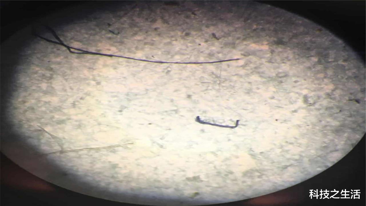 科学家|霍金的预言要成真？科学家从人类的粪便中，发现有塑料颗粒存在！