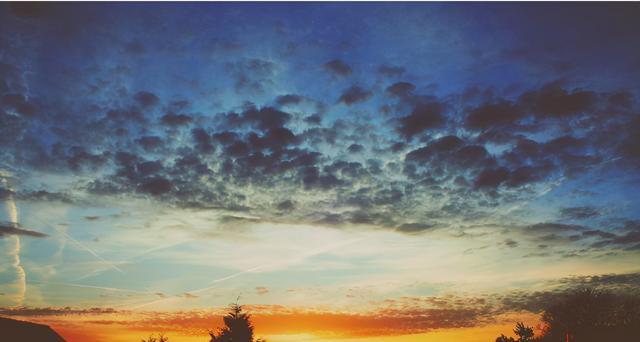 生肖|11月底，跋山涉水不停歇，执着追寻，清醒的前任，却爱得最为荒唐