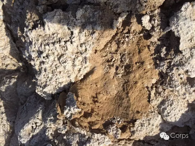 「」土壤的三大“癌症”