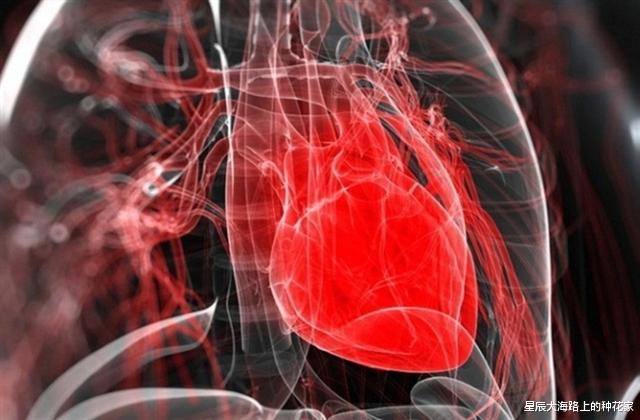 狒狒|移植动物器官：36年前女婴为活命，移植狒狒心脏，现在怎么样了？