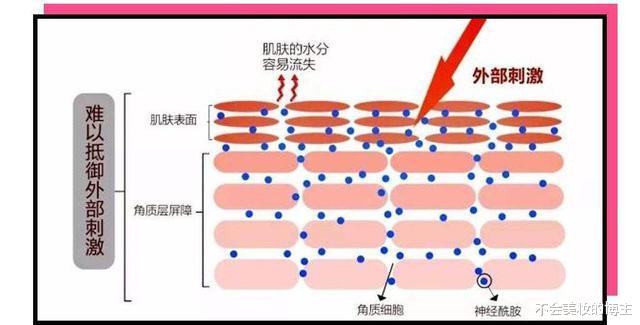 护肤@“你”的护肤方法vs“美妆博主”的护肤方法