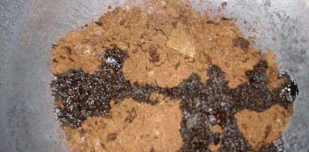 玉米|菜籽饼有毒，不能当窝料使用？这是赚了你的钱，还让你浪费了时间