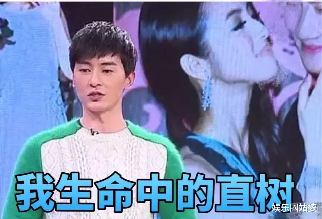郑元畅|京城四美变成“同妻”,郑元畅是她婚姻破裂原因?