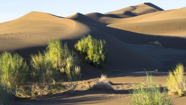 我国这个“最丢人”的沙漠：600多万亩黄沙变成绿洲，被种上土豆