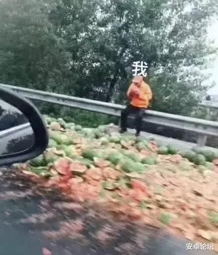 #P2P#你用电脑下载过什么片，用这网站都能查到