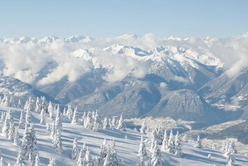 『生肖』3大生肖，6月中旬财运滚滚来，大财砸身，前景一片光明！