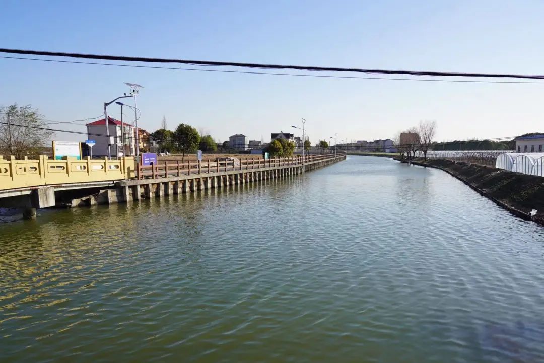 浦东发布 浦东有六个村被评为2020年度上海市美丽乡村示范村,你都去过吗?