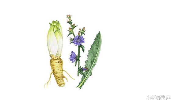 『肝脏』肝不好的人，身体三处会变“臭”，养护肝脏，牢记：“3多4少”