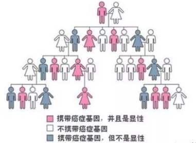 癌症|“肿瘤会遗传吗?”这几种癌症很可能真的会“遗传”!