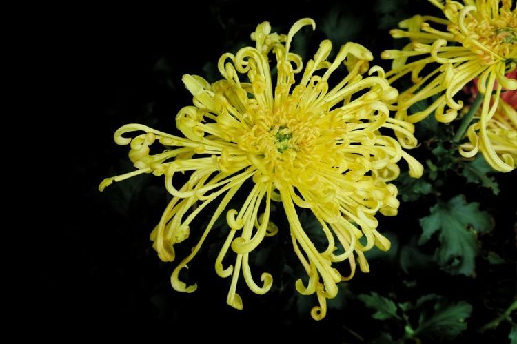 旧爱|8月招财神的3大生肖，吉星照耀好运到，可谓是福运连连啊！