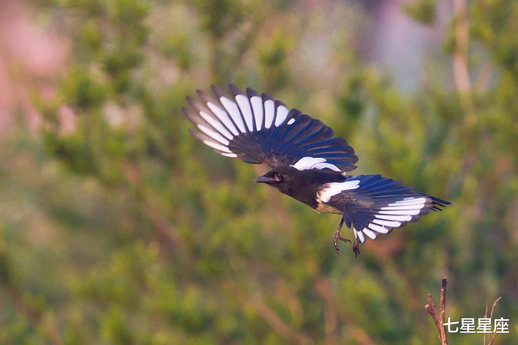 「生肖」6月23号，赚钱有门路，财富得到积累的3生肖，渡过难关