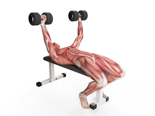 燃脂：健身新手一定要加强手臂力量训练，这是一切力量增肌训练的基础