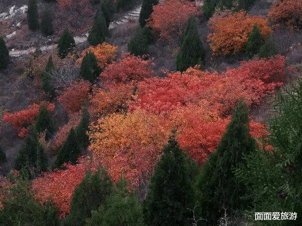 北京市|北京又发现一处“仙境”，秋季红叶不亚于香山，门票免费公交直达