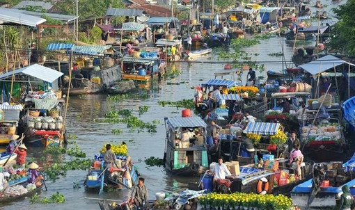 湄公河三角洲——越南的糧倉-圖5