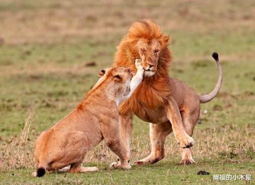 『无性繁殖』无性繁殖如此简单,为什么动物还会选择交配繁衍