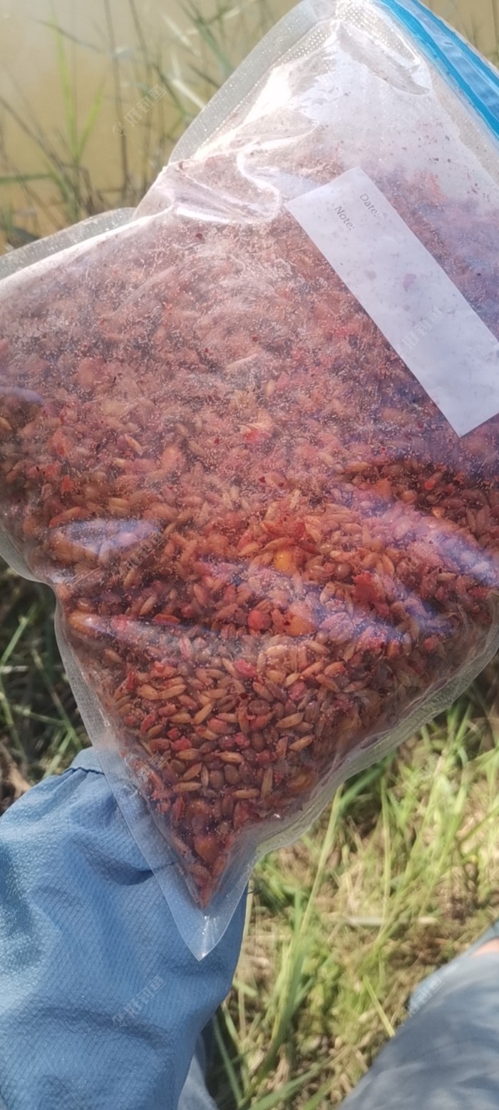 麦穗|谷麦自制分享