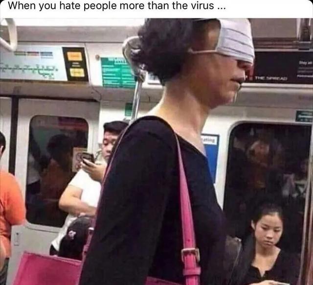 InsDaily|纽约地铁禁止带狗，但允许沙雕进入，于是奇怪的事情发生了……