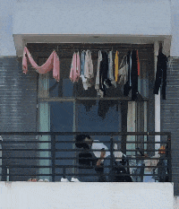 鲫鱼|关于动物有哪些不可思议的事情？家里的猫会用尾巴钓鱼，给家人分着吃