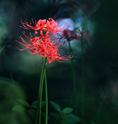 「」7月贵人八方来，4属相金玉满堂，横财入命，正财满贯，财源滚滚