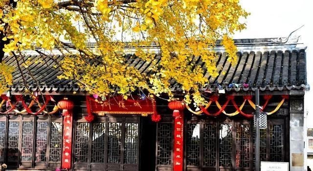 古镇|无锡“零差评”的原始古镇，2700年历史，景美人少值得一去！