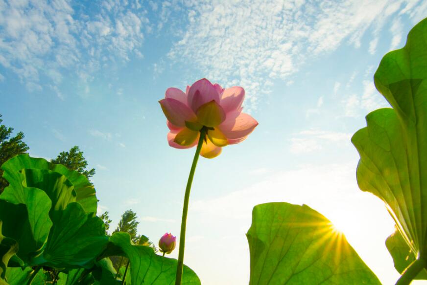 #摩羯座#5月7.8.9号,3大属相贵人八方来,天天吃香睡好