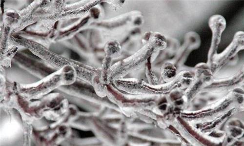 『科学家』科学家为长生不老，注射了350万年前的细菌，2年后出现了“奇迹”