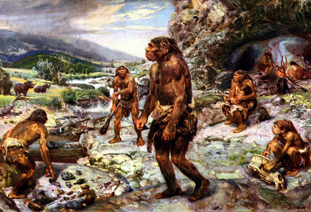 |人类为什么没有进化出攻击性的器官?