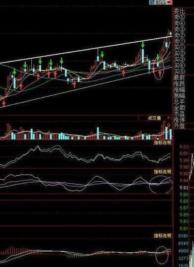 交易■中国股市真正赚钱的人：看懂筹码转换过程，炒股水平突飞猛进