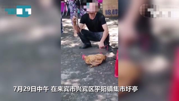 广西|广西男子为宣传药酒药效,拿出毒蛇表演,不慎被咬后中毒身亡