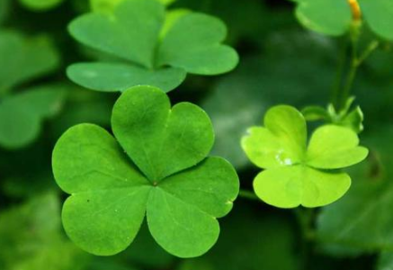 |生活是什么?我只知道生存,怎么办