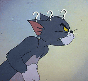 何鸿燊|男女裹床单躺斑马线拍婚纱照：迷惑行为大赏 | 沸话