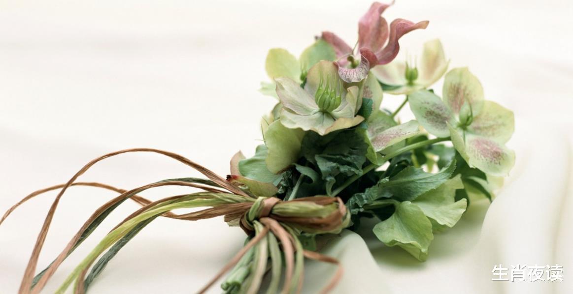 运势|11月，桃花朵朵开，前任欣喜若狂，再次邂逅良缘，此生不负卿意