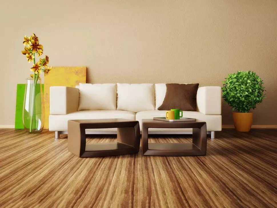 客厅放一样东西会破财，你一定要知道