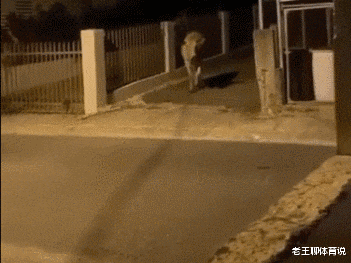 |有一个多事的婆婆是什么体验？买房装修一毛不出，住在一起还挑剔