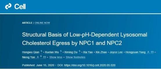 [颜宁]就在13天前，清华\留不住\的天才女教授颜宁，为美国\再立新功\